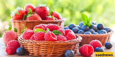 Best Ways To Store Summer Fruits For Longer Freshness