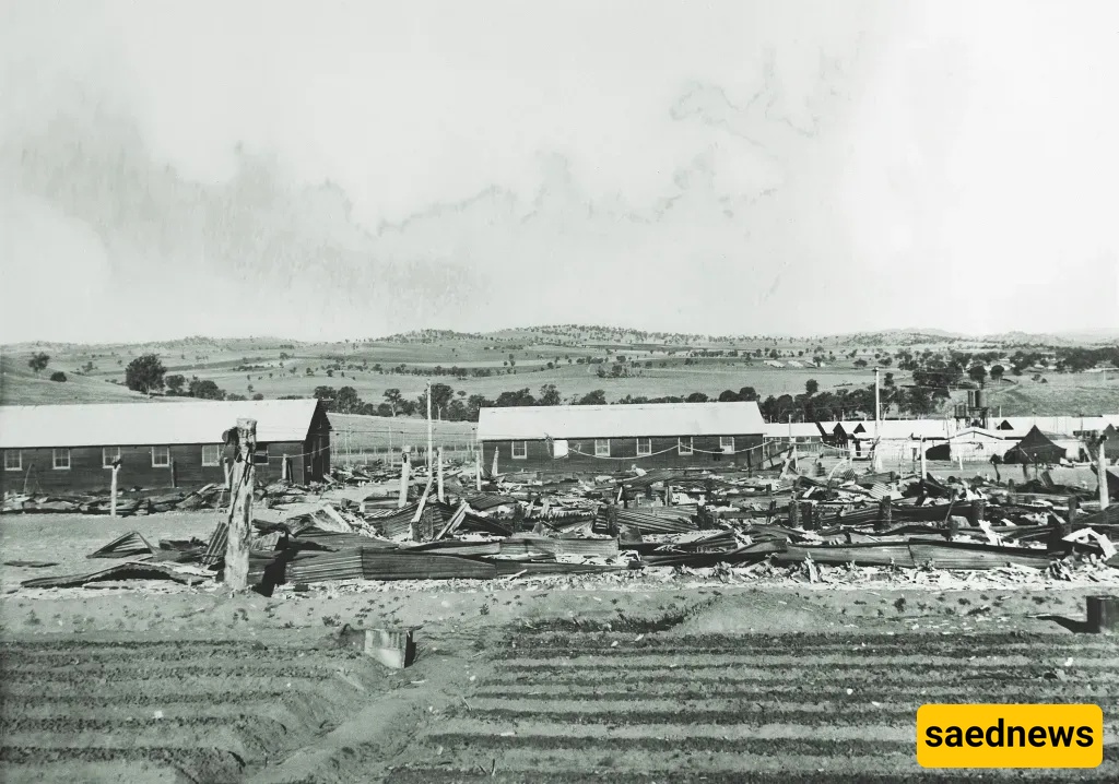The aftermath of the Cowra breakout