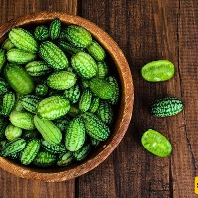 What Is Cucamelon (Mexican Cucumber)? Benefits, Flavor, Growing Tips, and Uses