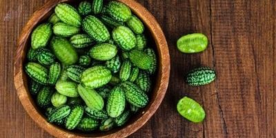What Is Cucamelon (Mexican Cucumber)? Benefits, Flavor, Growing Tips, and Uses