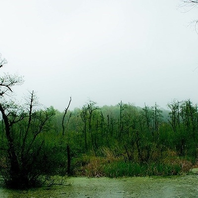Qadikola Lagoon: Mazandaran’s Hidden Coastal Gem