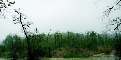 Qadikola Lagoon: Mazandaran’s Hidden Coastal Gem
