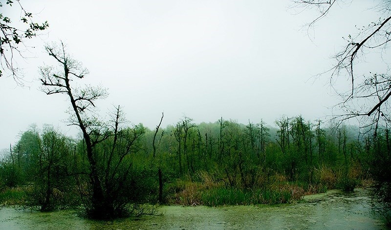 Qadikola Lagoon: Mazandaran’s Hidden Coastal Gem