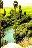 Exploring the Beauties of Dehdasht, Kohgiluyeh and Boyer-Ahmad / From the emerald shine of Barm Shir Wetland to history as old as Iran itself