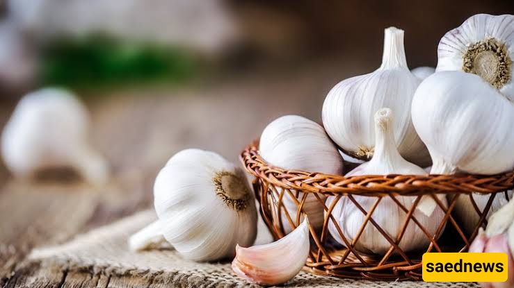 garlic