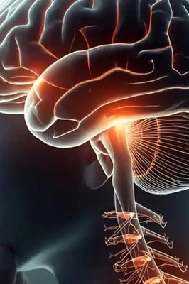 6 Important Factors That Can Worsen Multiple Sclerosis (MS)