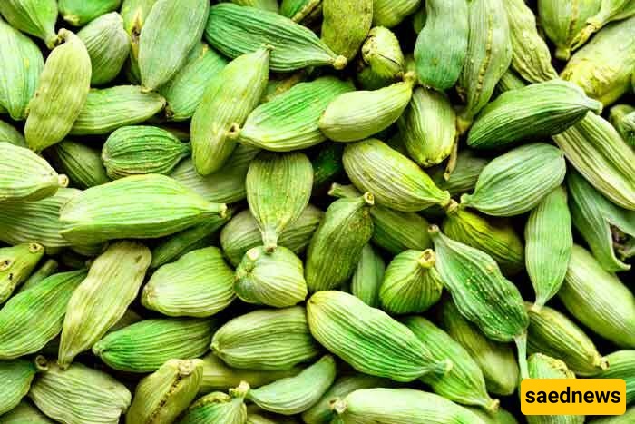 cardamom