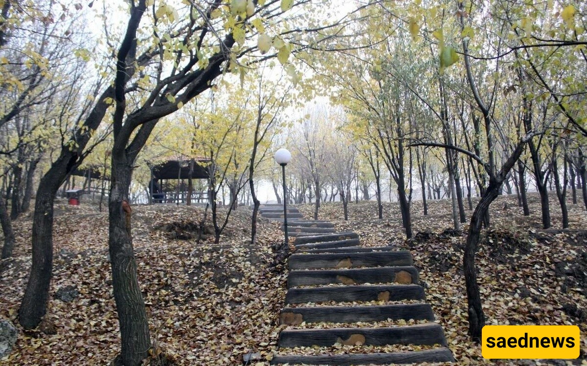 Mare Khuni Park in Sardroud, East Azerbaijan – Capture the Most Unique Autumn Photos at This Spot + Photos