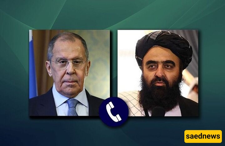Top Russian, Afghanistan Diplomats Stress Boosting Trade Ties