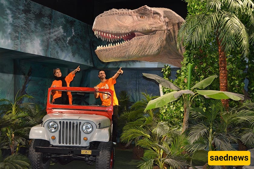 Theme Park