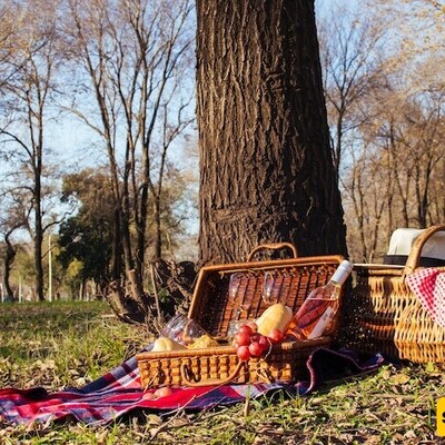Optical Illusion: Even People with High IQs Can't Find 5 "Books" in a "Two-Person Picnic" in Just 6 Seconds