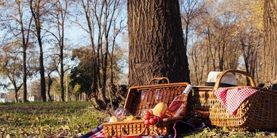 Optical Illusion: Even People with High IQs Can't Find 5 "Books" in a "Two-Person Picnic" in Just 6 Seconds