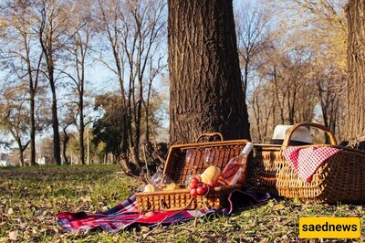 Optical Illusion: Even People with High IQs Can't Find 5 "Books" in a "Two-Person Picnic" in Just 6 Seconds