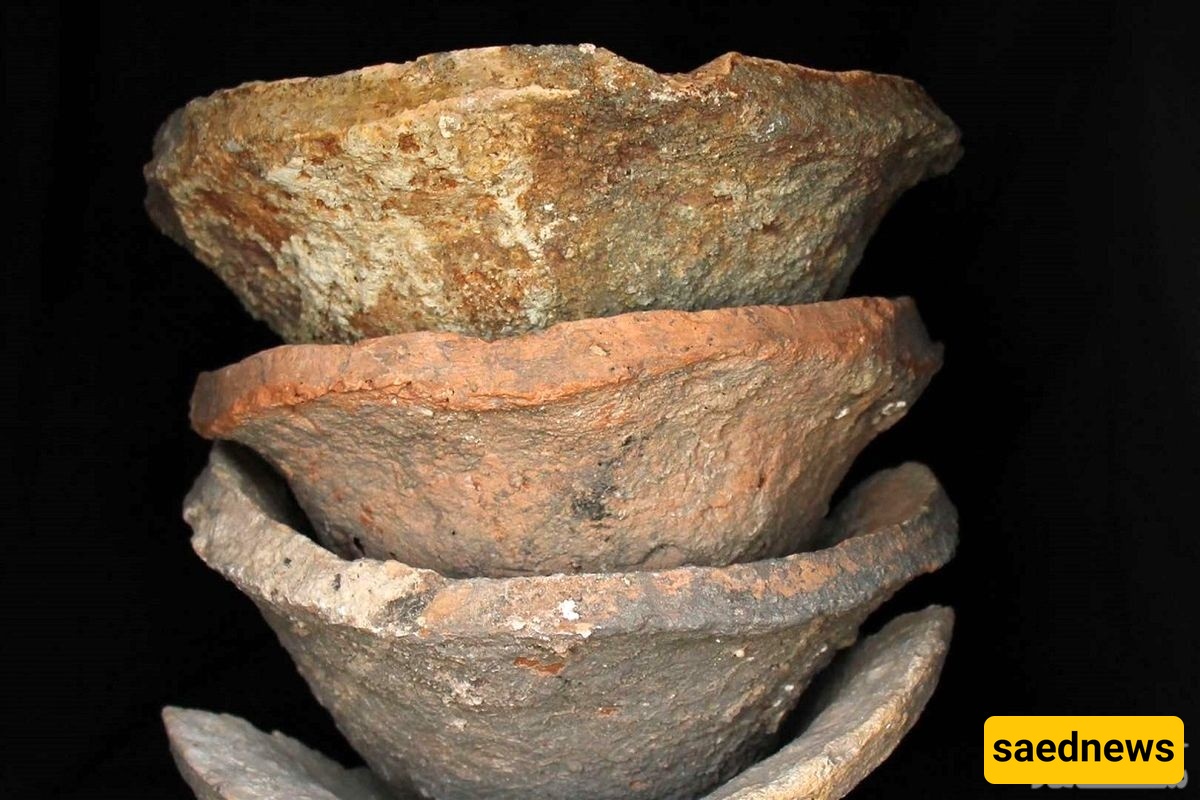 5,000-Year-Old Stew Unearthed in Western Iran