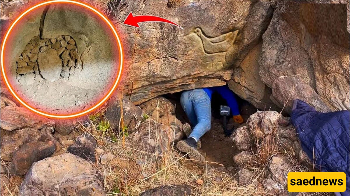 Video of the Moment a Lucky Man Discovers 7 Precious Treasure Chests Full of Gold