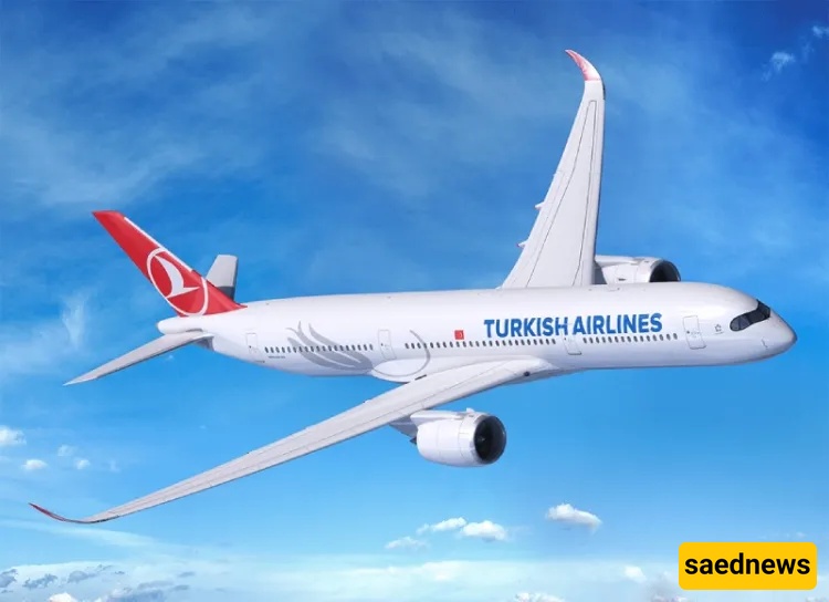 Airline