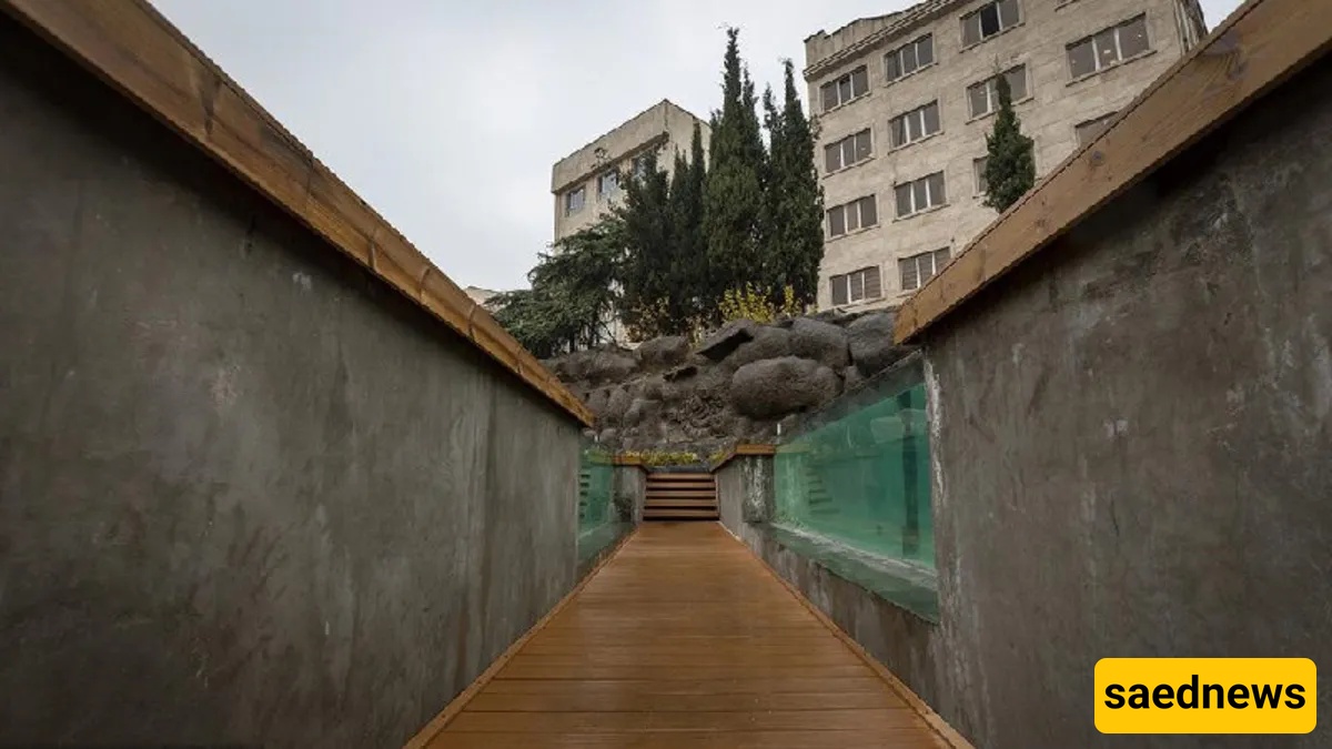 ocean park