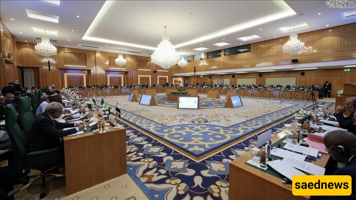 Islamic Countries to Work to Suspend Israel's UN Membership
