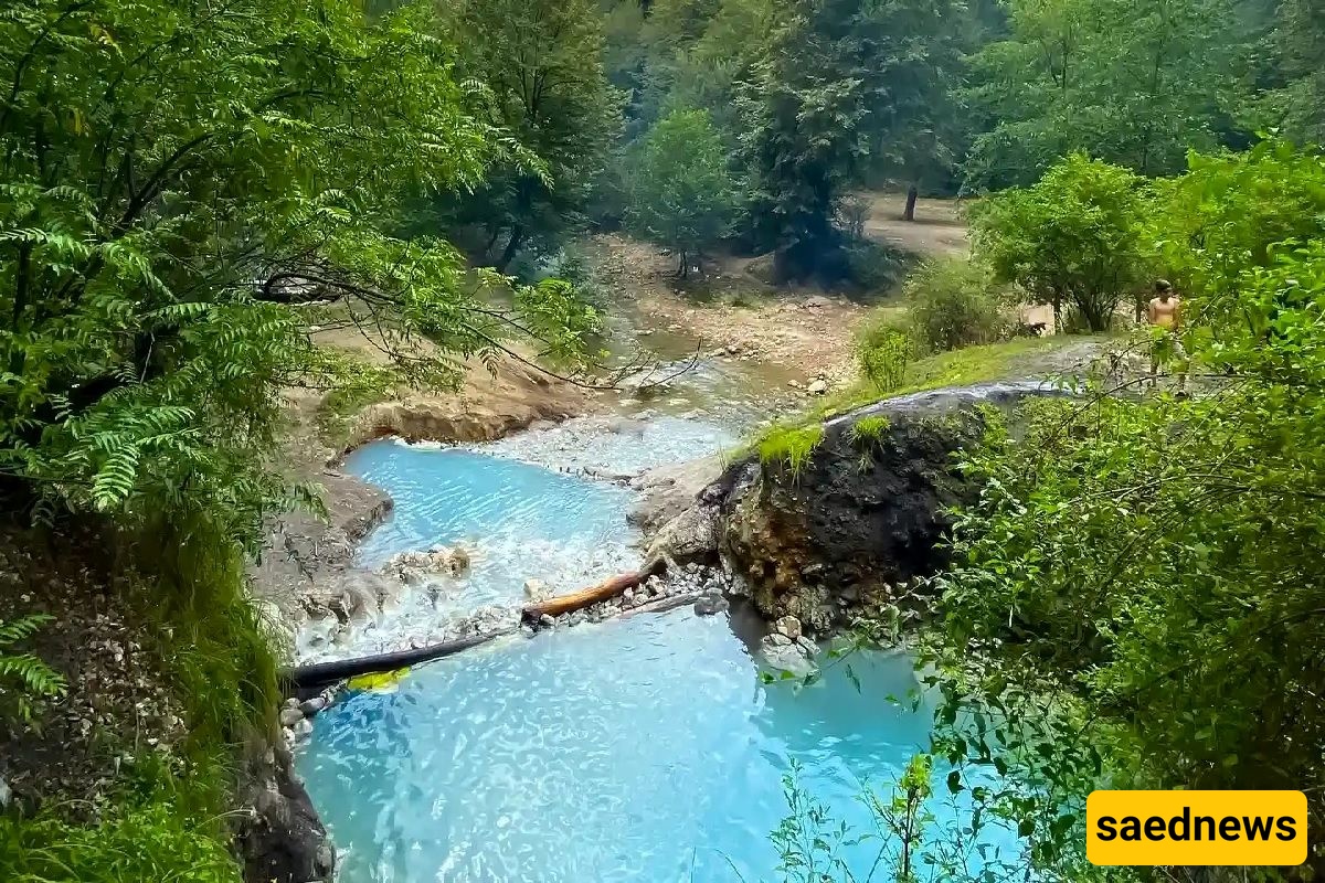 Bliran Forest / A Hidden Paradise in Mazandaran