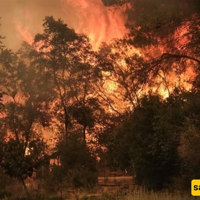 Greece Wildfire Contained But Strong Winds Prompt Evacuations
