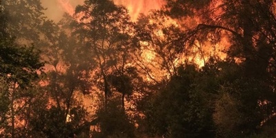 Greece Wildfire Contained But Strong Winds Prompt Evacuations