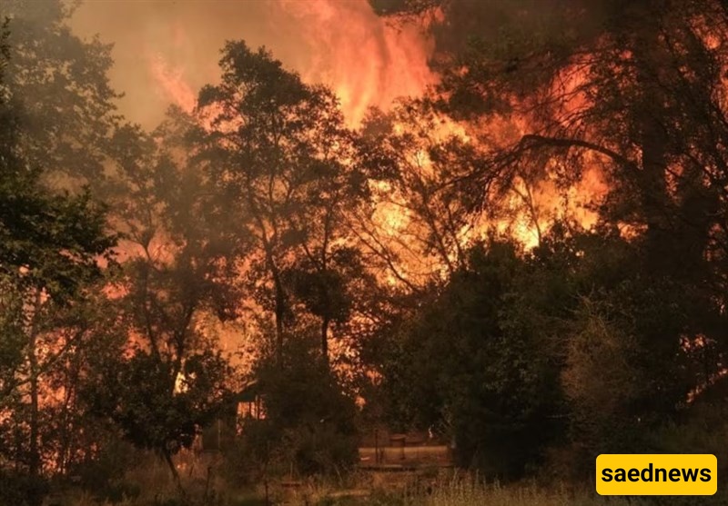Greece Wildfire Contained But Strong Winds Prompt Evacuations