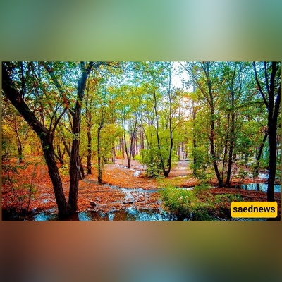 Tehran’s Backyard Lake: 11 Reasons Chitgar Park Feels Like a Mini Escape to the North