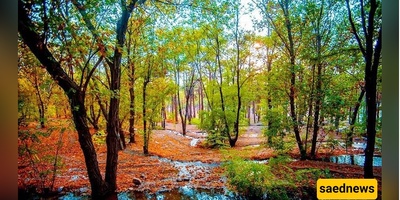 Tehran’s Backyard Lake: 11 Reasons Chitgar Park Feels Like a Mini Escape to the North