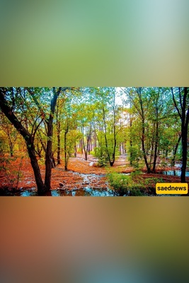 Tehran’s Backyard Lake: 11 Reasons Chitgar Park Feels Like a Mini Escape to the North