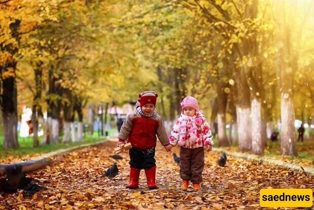 Types of Autumn and Winter Colors for Children's Clothing