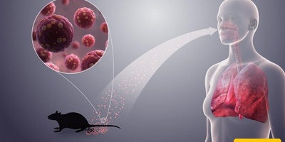 Everything About the New Hantavirus; How Dangerous Is It? + Ways of Transmission and Prevention