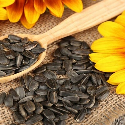 How to Store Sunflower Seeds at Home? + Benefits of Sunflower Seeds