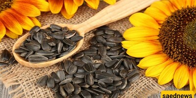 How to Store Sunflower Seeds at Home? + Benefits of Sunflower Seeds