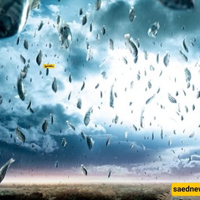 A Barren Desert Where Fish Fall From the Sky!
