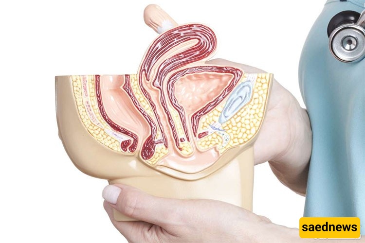 From Back Pain to Urinary Incontinence: Lesser-Known Symptoms of a Tilted Uterus