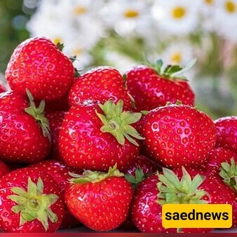 [VIDEO] A Boy Is Eating 100 liters of strawberries! 👀🍓+ A Glimpse into Competitive Eating