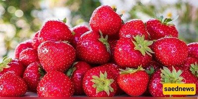 [VIDEO] A Boy Is Eating 100 liters of strawberries! 👀🍓+ A Glimpse into Competitive Eating