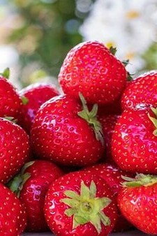 [VIDEO] A Boy Is Eating 100 liters of strawberries! 👀🍓+ A Glimpse into Competitive Eating
