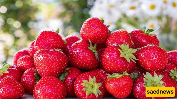 [VIDEO] A Boy Is Eating 100 liters of strawberries! 👀🍓+ A Glimpse into Competitive Eating