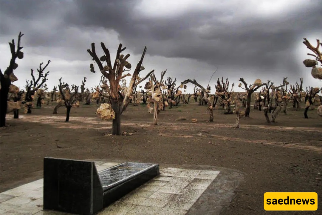 Explore Iran’s Haunted Corners: Journey Into the Country’s Most Terrifying Sites