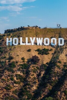 Hollywood and Hits: The Highest-Earning Stars in Acting and Music of 2024