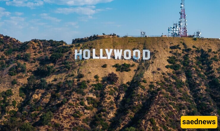 Hollywood and Hits: The Top Earners in Acting and Music for 2024