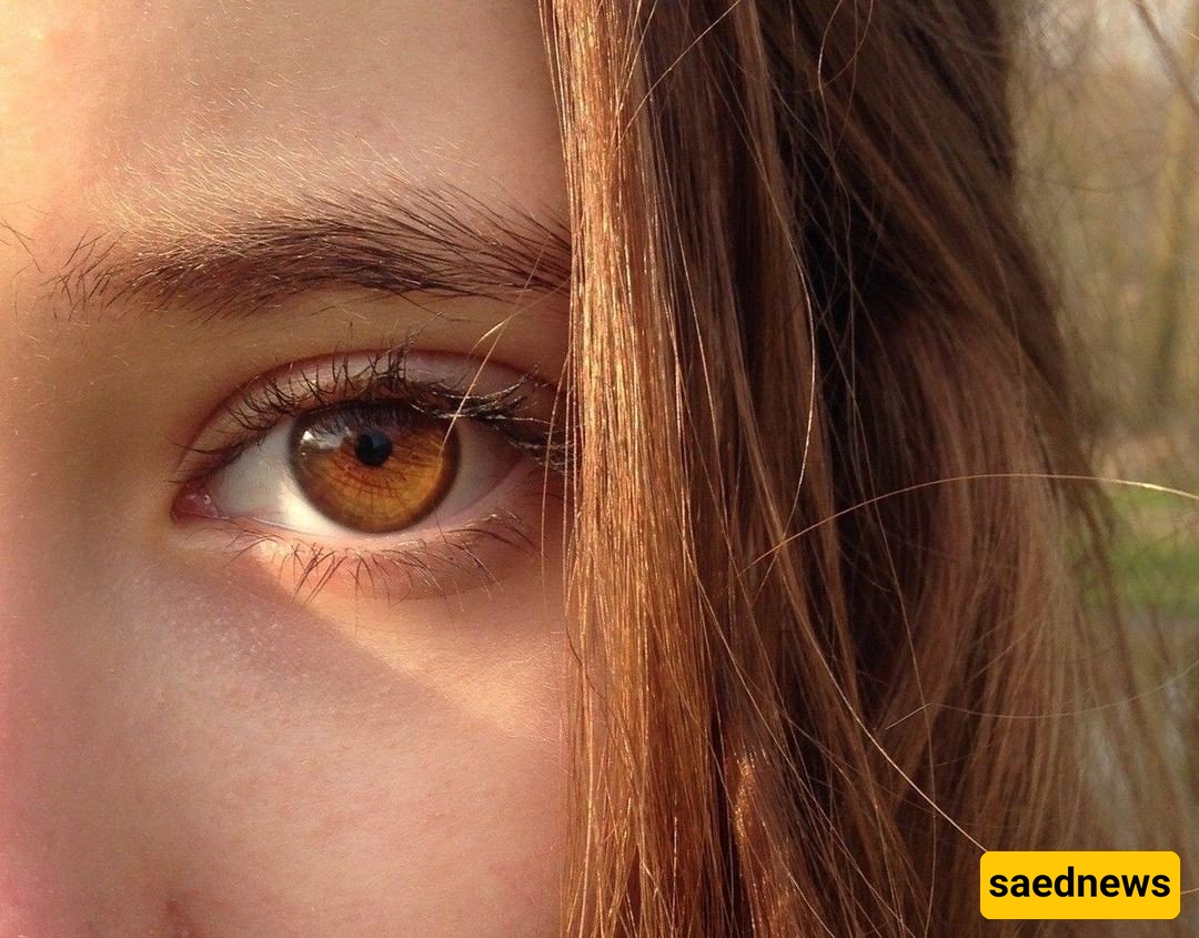 What Are the Secrets and Personality Traits of Brown-Eyed People? Your Eye Color Reveals Your Personality!