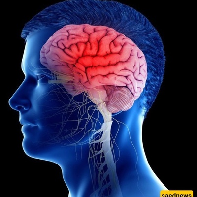 10 Amazing Secrets for a Sharp and Healthy Brain! / Make Sure to Try Them to Never Struggle with Memory or Focus Again!