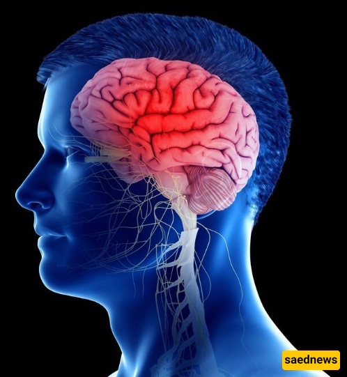 10 Amazing Secrets for a Sharp and Healthy Brain! / Make Sure to Try Them to Never Struggle with Memory or Focus Again!