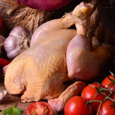 Is Turkey Meat Hot or Cold in Temperament?