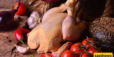 Is Turkey Meat Hot or Cold in Temperament?