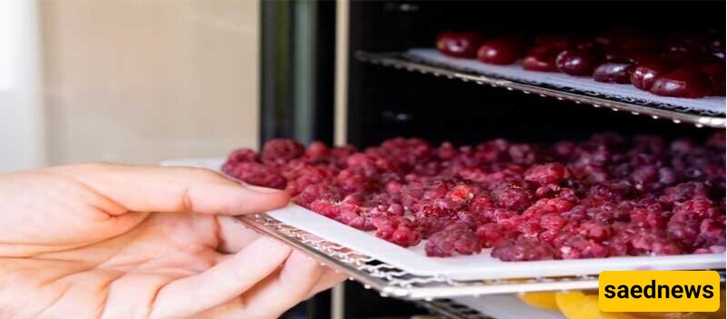 Drying sour cherries using an oven 