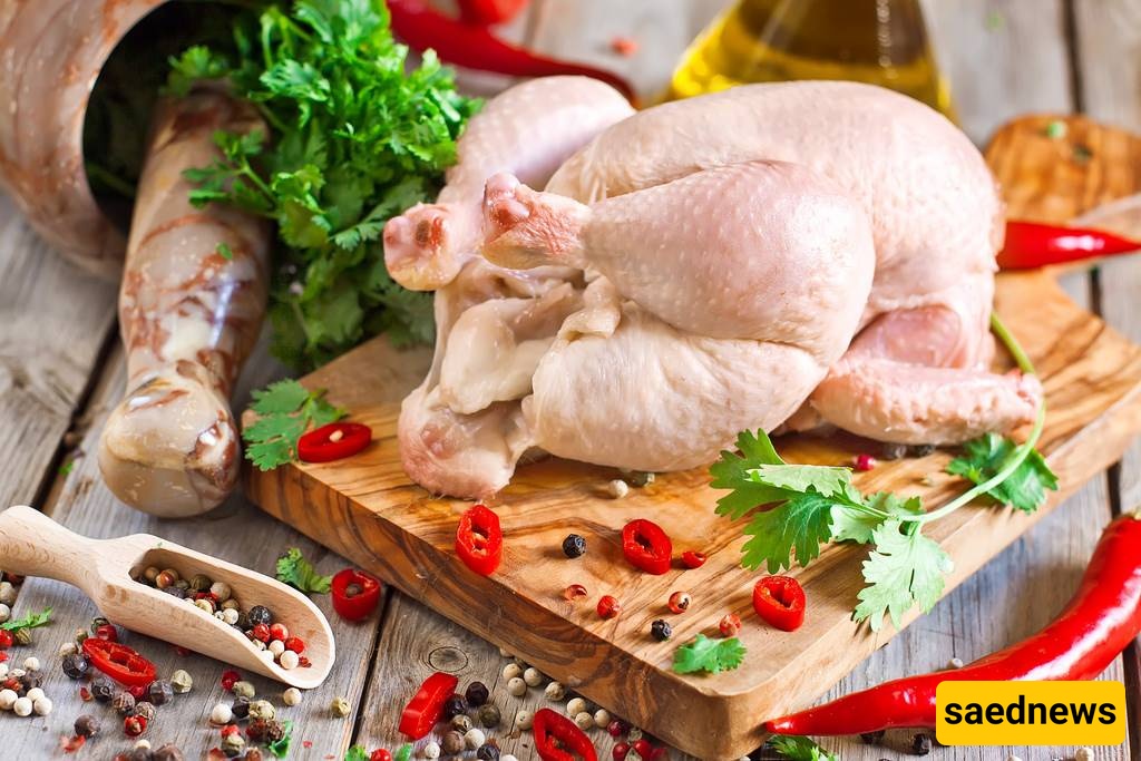 chicken 