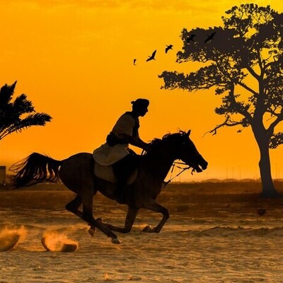 Horseback Riding and Principles of Equestrianism